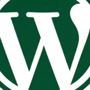 yoshikiのプロフィール写真